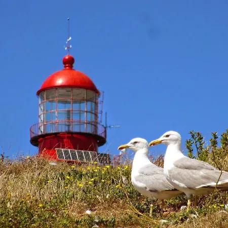 Apartment 22- Great Location In Baleal! Peniche